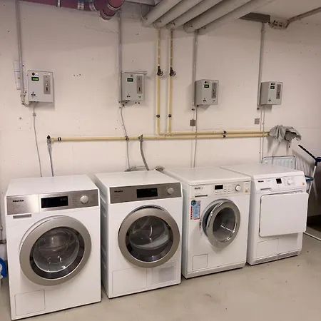 Siebert *